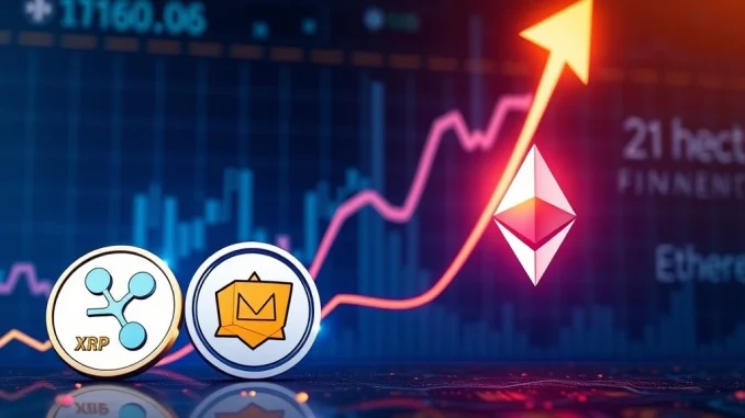 Traders are shifting from XRP DOGE to MAGACOIN FINANCE due to Ethereum ETF staking delays, seeking high crypto returns.