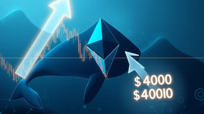 Chart showing ETH price retesting support, with whale icons and an upward arrow, signaling a bullish Ethereum outlook.