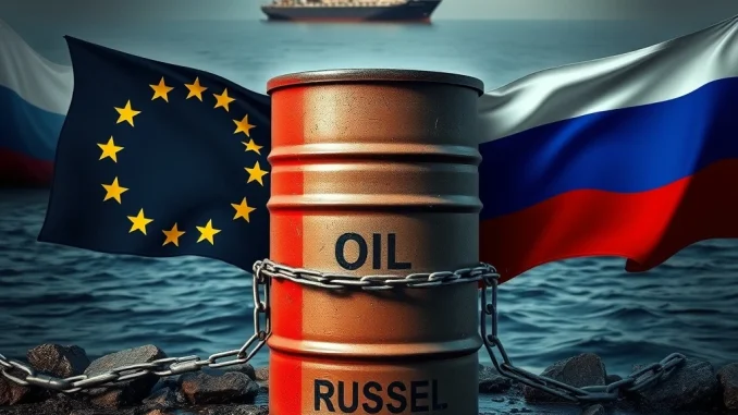 Visualizing the profound impact of EU Sanctions on Russian Oil and global energy supply chains.