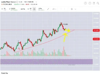 A FLOKI price chart showing a strong rebound from the 0.618 Fibonacci level, illustrating the potential for FLOKI price prediction targets.