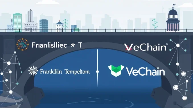 Franklin Templeton's Pivotal Move: $780M BENJI Fund Unlocks Tokenized U.S. Treasury Access on VeChain Franklin Templeton's BENJI fund integrating with VeChain, showcasing tokenized U.S. Treasury access for institutions.
