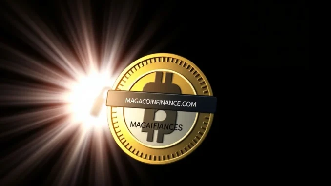 MAGACOIN FINANCE official website security against phishing scams and imitation domains.
