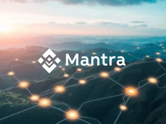 Mantra blockchain's enhanced security, symbolized by a network connecting the Mantra logo and Binance logo, representing the new Binance validator integration.