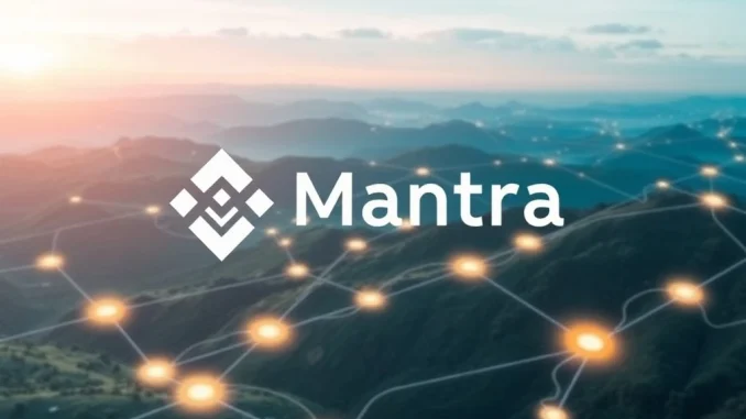 Mantra blockchain's enhanced security, symbolized by a network connecting the Mantra logo and Binance logo, representing the new Binance validator integration.