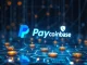 Visualizing the significant Mesh funding, with PayPal and Coinbase logos subtly integrated, representing major backing for crypto payments infrastructure.