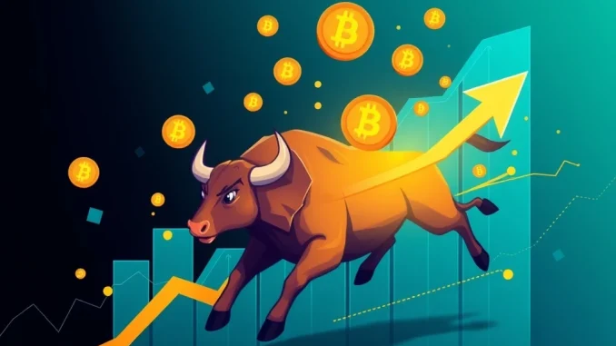 New investor dominance driving bullish momentum in the crypto market