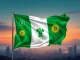 Nigeria's pioneering stablecoin regulation framework setting a new standard for African digital finance.