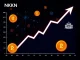 NKN token price crash amid governance changes and network expansion