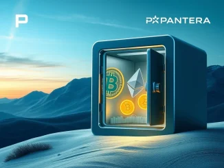 Pantera Capital's strategic $300M crypto investments in digital asset treasury firms aiming for enhanced returns.