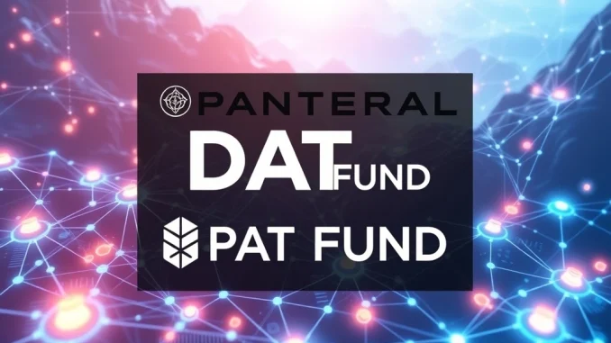 Pantera Capital's DAT Fund for institutional cryptocurrency investment