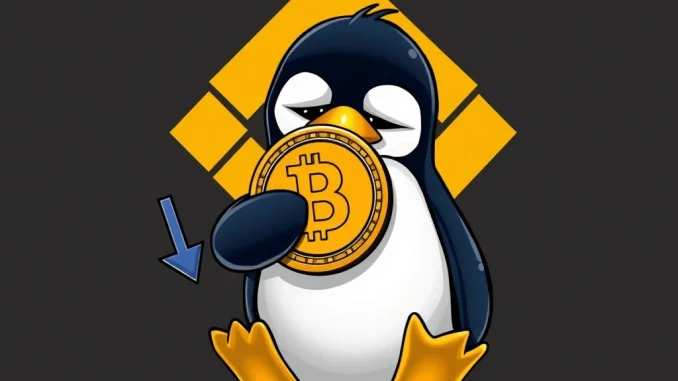 PENGU token price drop after Binance transfer