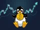 PENGU token showing bullish recovery signals with technical indicators