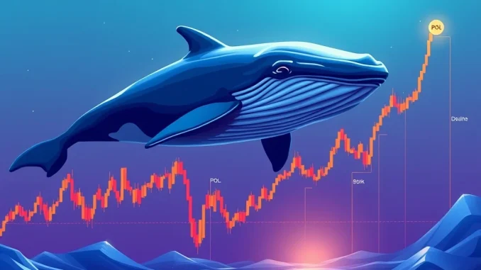 Chart showing Polygon POL price nearing a bullish reversal, driven by significant whale accumulation and strong technical indicators.