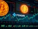 Visualizing the innovative Roxom Bitcoin Stock Exchange platform, enabling direct BTC trading for crypto-holding companies.