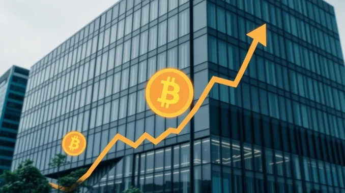 RSXYZ's strategic Bitcoin purchase plan in Thailand, symbolizing corporate crypto investment and market growth.