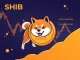 SHIB token price drop with critical support levels highlighted