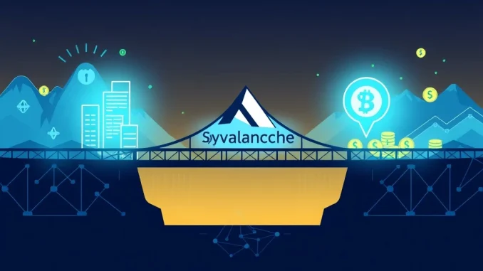 Depicts SkyBridge Capital's $300M SkyBridge tokenization initiative on the Avalanche blockchain, bridging traditional finance with digital assets.