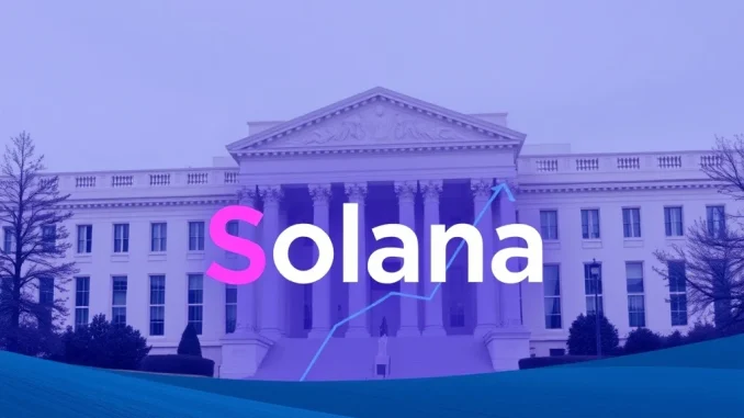 Solana ETF documents being reviewed by the SEC, symbolizing progress in regulatory discussions and the potential for a new crypto investment product.