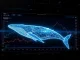 A large crypto whale making a high-leverage bet on XRP and SOL on Hyperliquid, illustrating significant Solana news today.