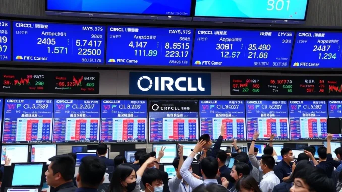 South Korean retail investors trading Circle stock in a busy exchange