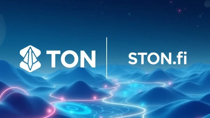 STON.fi DeFi platform on TON blockchain with liquidity pools and cross-chain features