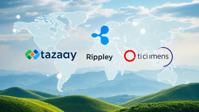Digital representation of secure Tazapay funding enabling global cross-border payments, powered by Ripple and Circle Ventures.