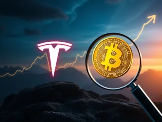 Tesla's soaring Bitcoin gains in 2025 highlight past strategic decisions, fueling debate on corporate crypto investments.