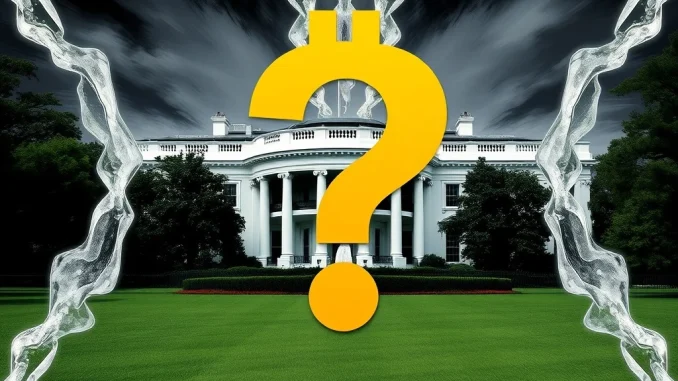 Uncertainty around Trump's federal Bitcoin reserve policy in latest crypto report