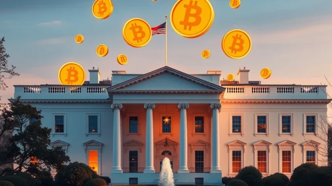 White House with Bitcoin symbols representing U.S. government crypto interest