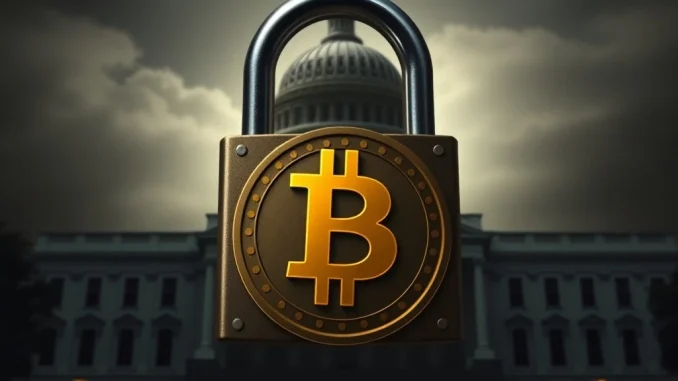 Classified U.S. government Bitcoin holdings under digital lock for security