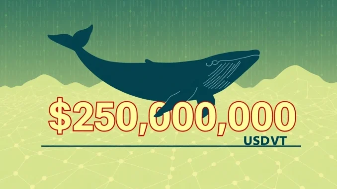Massive USDT Transfer: A Crypto Whale Deposits $250M into Aave Illustrates a significant **USDT transfer** of $250 million from a **crypto whale** into the **Aave protocol**, highlighting major **stablecoin movement** in **DeFi lending**.