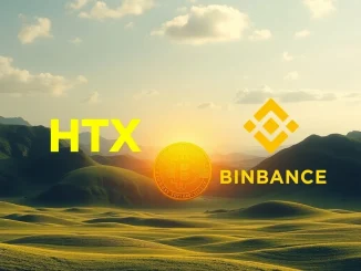Visual representation of a large USDT transfer, symbolizing $200 million moving between HTX and Binance, highlighting exchange liquidity.