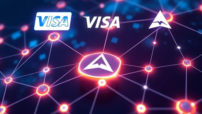 Visa integrates Stellar and Avalanche for blockchain payments