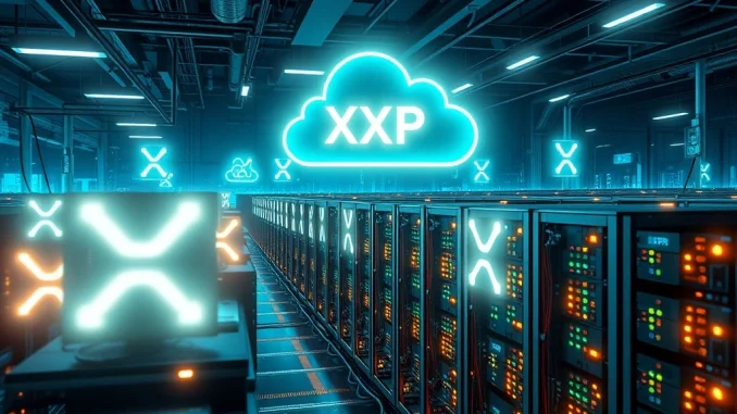 XRP cloud mining platform by LET Mining for passive crypto income
