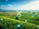 Digital overlay on agricultural fields showing how XRP Ledger tokenized agribusiness is modernizing Brazil's credit market.