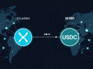 Visualizing the XRP Ledger's integrated architecture and RLUSD's efficiency, symbolizing its superior performance over USDC in blockchain finance.