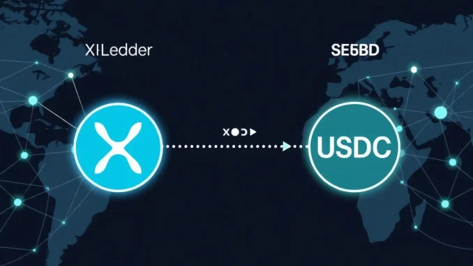 Visualizing the XRP Ledger's integrated architecture and RLUSD's efficiency, symbolizing its superior performance over USDC in blockchain finance.