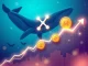 XRP and Mutuum Finance tokens surging as Ripple whales invest in DeFi altcoin.