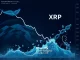 A digital chart showing a sharp XRP price drop, illustrating the impact of whale selling and crypto liquidation on the market.
