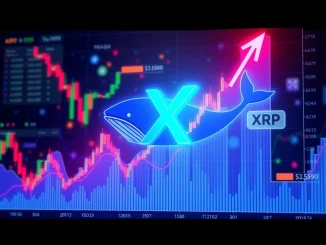 A visual representation of XRP price charts indicating a potential rally, highlighted by TD Sequential buy signals and significant whale accumulation.