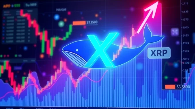 A visual representation of XRP price charts indicating a potential rally, highlighted by TD Sequential buy signals and significant whale accumulation.