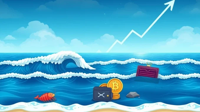 XRP Price Surge Unleashed: Dramatic Shift in Top 10% Holder Entry Cost Visualizing the dramatic XRP price surge and its impact on the XRP Ocean Ranking System, showing escalating entry costs for top holders.