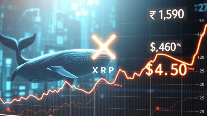 XRP price surge prediction with whale accumulation and legal clarity