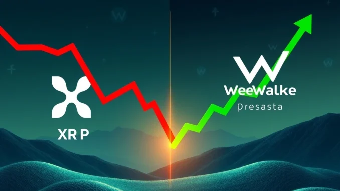 A stark contrast showing a red, downward-trending XRP price chart next to a green, soaring WeWake presale chart, symbolizing crypto market volatility.