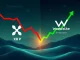 A stark contrast showing a red, downward-trending XRP price chart next to a green, soaring WeWake presale chart, symbolizing crypto market volatility.
