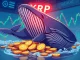 XRP whales accumulating tokens during a market dip