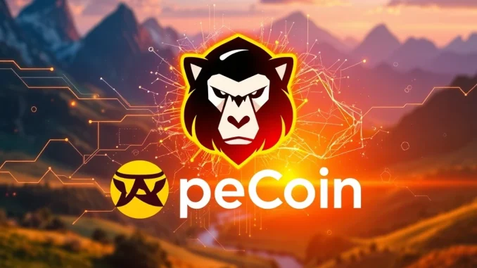 The ApeCoin logo integrating with Solana blockchain symbols, signifying the strategic ApeCoin Solana expansion.