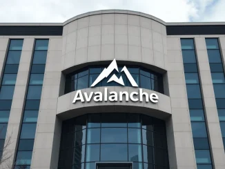 Visual representation of the Avalanche Foundation's strategic move to establish a US firm for secure AVAX digital asset holdings.