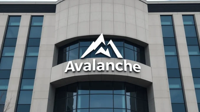 Visual representation of the Avalanche Foundation's strategic move to establish a US firm for secure AVAX digital asset holdings.