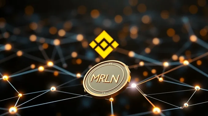 Binance Alpha MRLN listing announcement showing a digital coin integrating into a secure blockchain network, signifying new trading opportunities.
